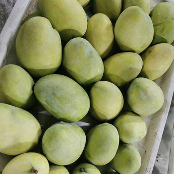 農(nóng)產(chǎn)品批發(fā)供應(yīng)商楊華 - 惠農(nóng)網(wǎng)電腦版