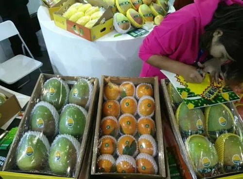 大豐收 攀枝花特色農(nóng)產(chǎn)品驚艷世博會(huì) 銷售額達(dá)500萬(wàn)元,項(xiàng)目簽約13億元