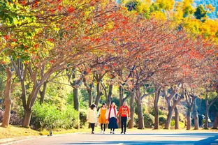 新年喜訊 攀枝花陽(yáng)光康養(yǎng)產(chǎn)業(yè)獲評(píng) 2016四川十大改革轉(zhuǎn)型發(fā)展案例