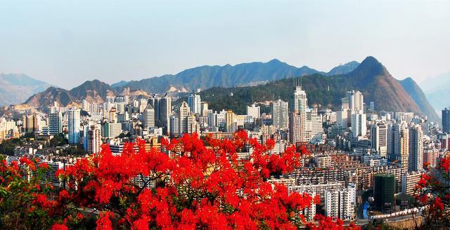 紅動(dòng)花城 &middot; 攀枝花金科城市展廳驚艷亮相