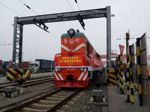 攀枝花市鹽邊縣益民鄉 七彩小番茄 成 明星產品