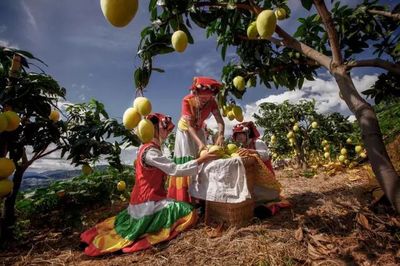 帶著陽光、帶著果香,帶著&ldquo;康養+&rdquo;,北京!東區來了&middot;&middot;&middot;&middot;&middot;&middot;_財經_網