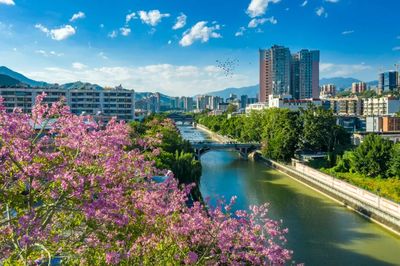 攀枝花市仁和區人民政府