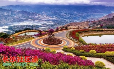 四川發(fā)布今年第一期觀花指數(shù) 德陽這個地方觀花指數(shù)已到達最佳時期!