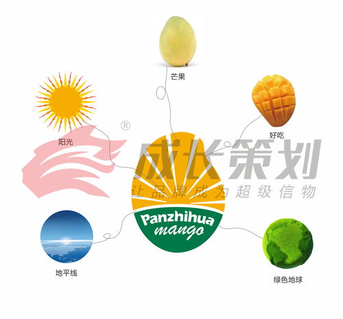 成長策劃助力攀枝花打造攀枝花芒果區(qū)域公用品牌,成為中國百強(qiáng)